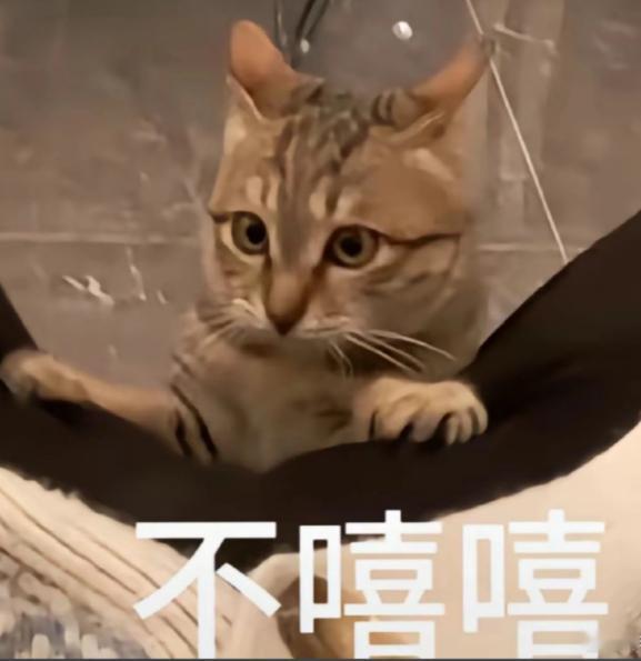 4个小时的拼豆就这样白拼了 真心能共情这种崩溃，沉浸式专注创作四小时，静下心一点
