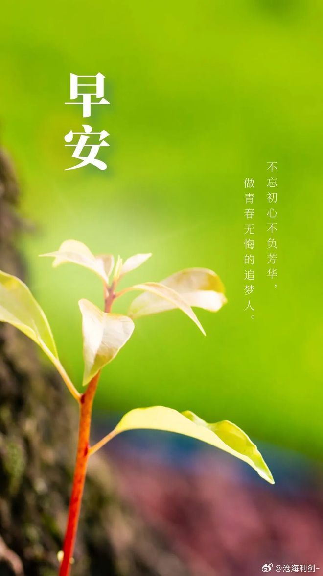 早安随心所欲，自在如风🔆。不必苛求完美，允许自己偶尔的懈怠与平凡🍒。只要今天