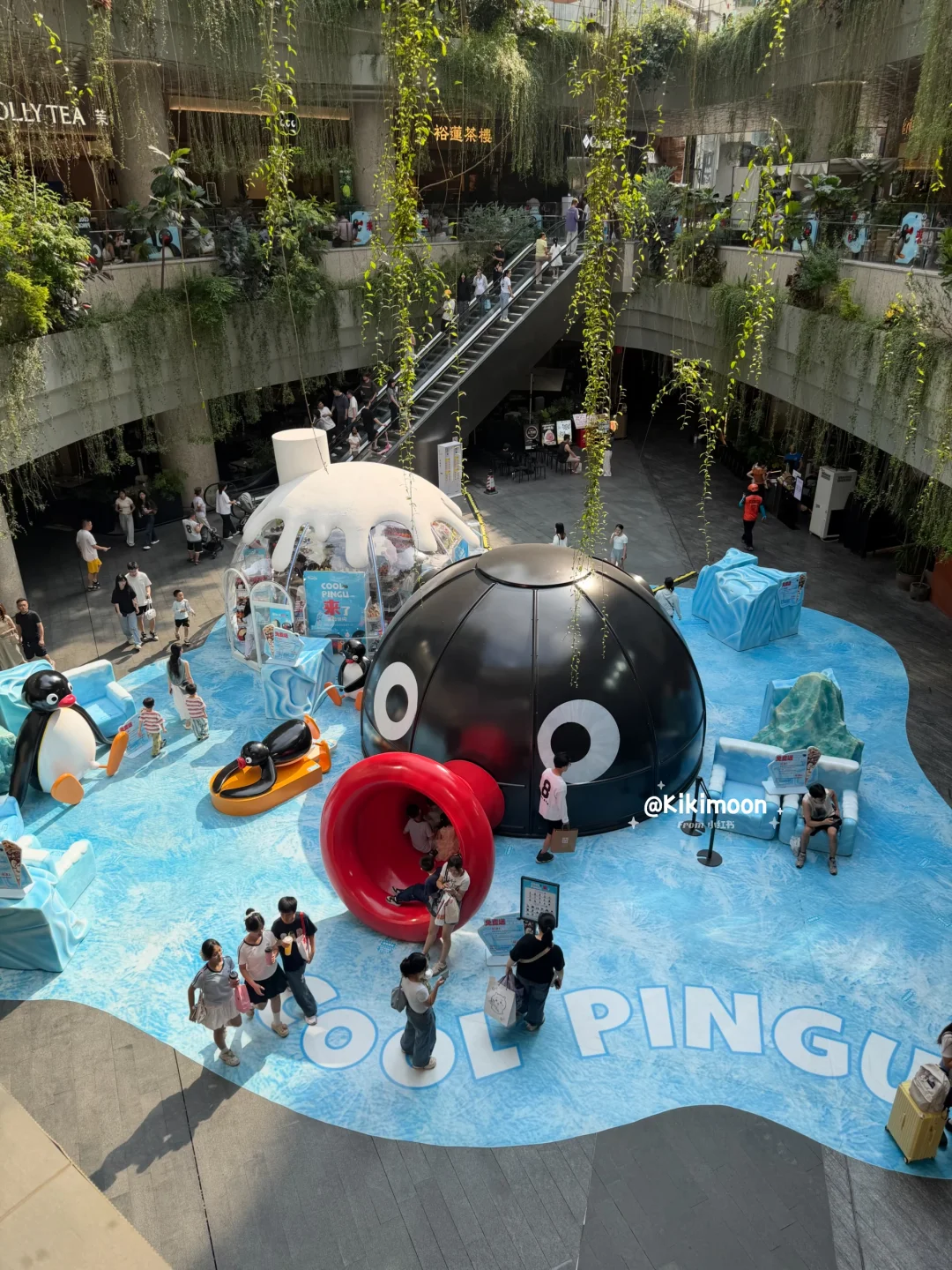 深圳展览|Pingu快闪免费打卡攻略🐧