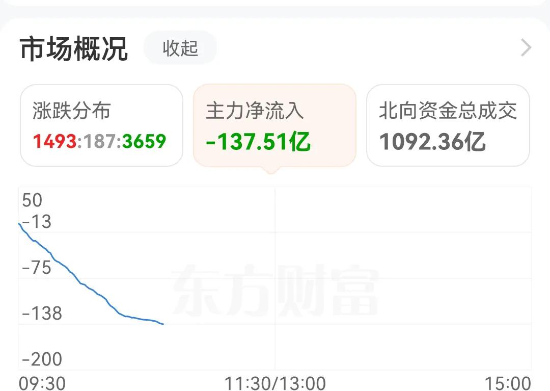 不到一小时，主力资金已经流出137.51亿，A股跌的一塌糊涂，天天4000多只个