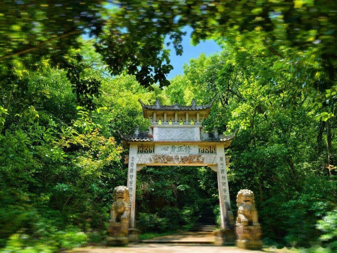 台州山海和古寺禅意揉进了枫山的风里黄墙古木相映，枫山清修寺始建于北宋，藏于闹市之