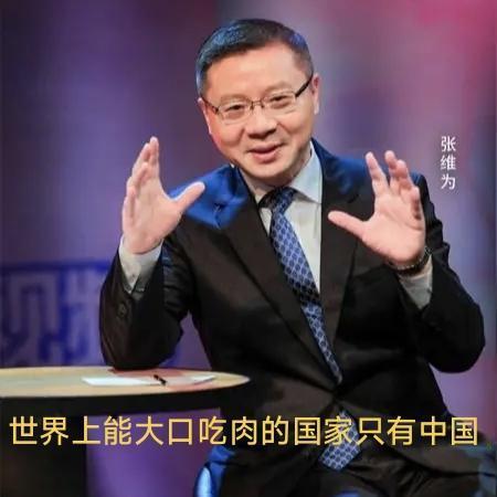 张维为:“世界上能大口吃肉的国家只有中国……”