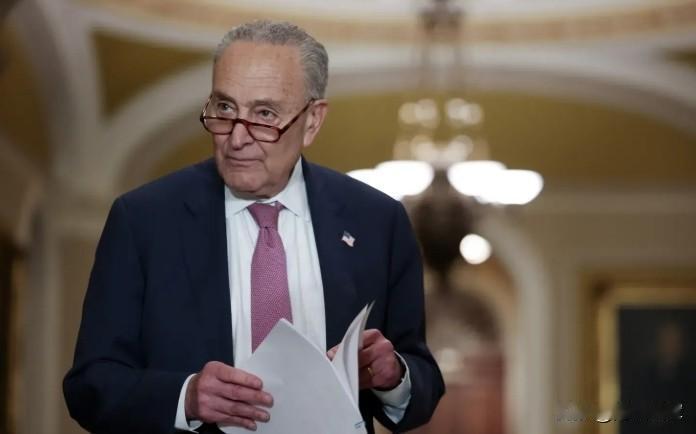 美国政府从开有希望了！多名民主党人倒戈支持重开政府，舒默被要求下台。民主党就是一