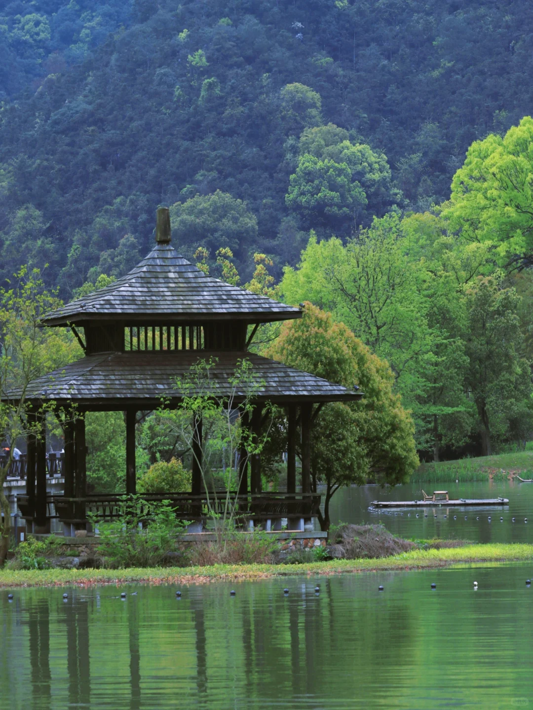 带娃去了一趟富春江，才懂什么叫躺进风景里