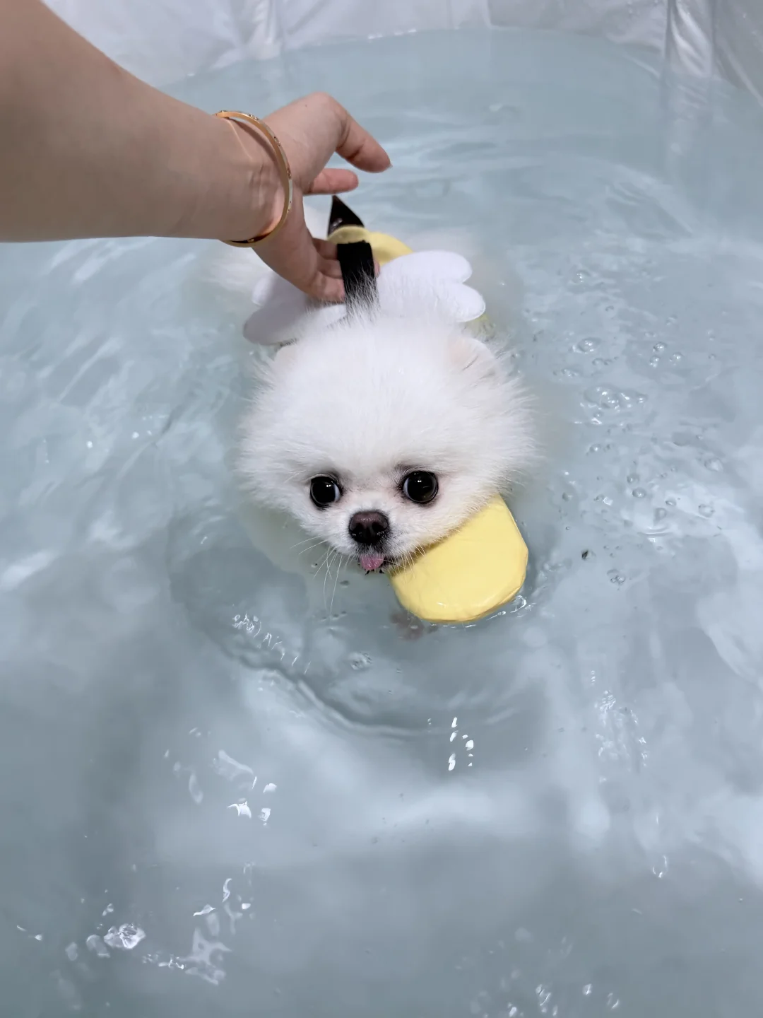 我我我…游不动哇