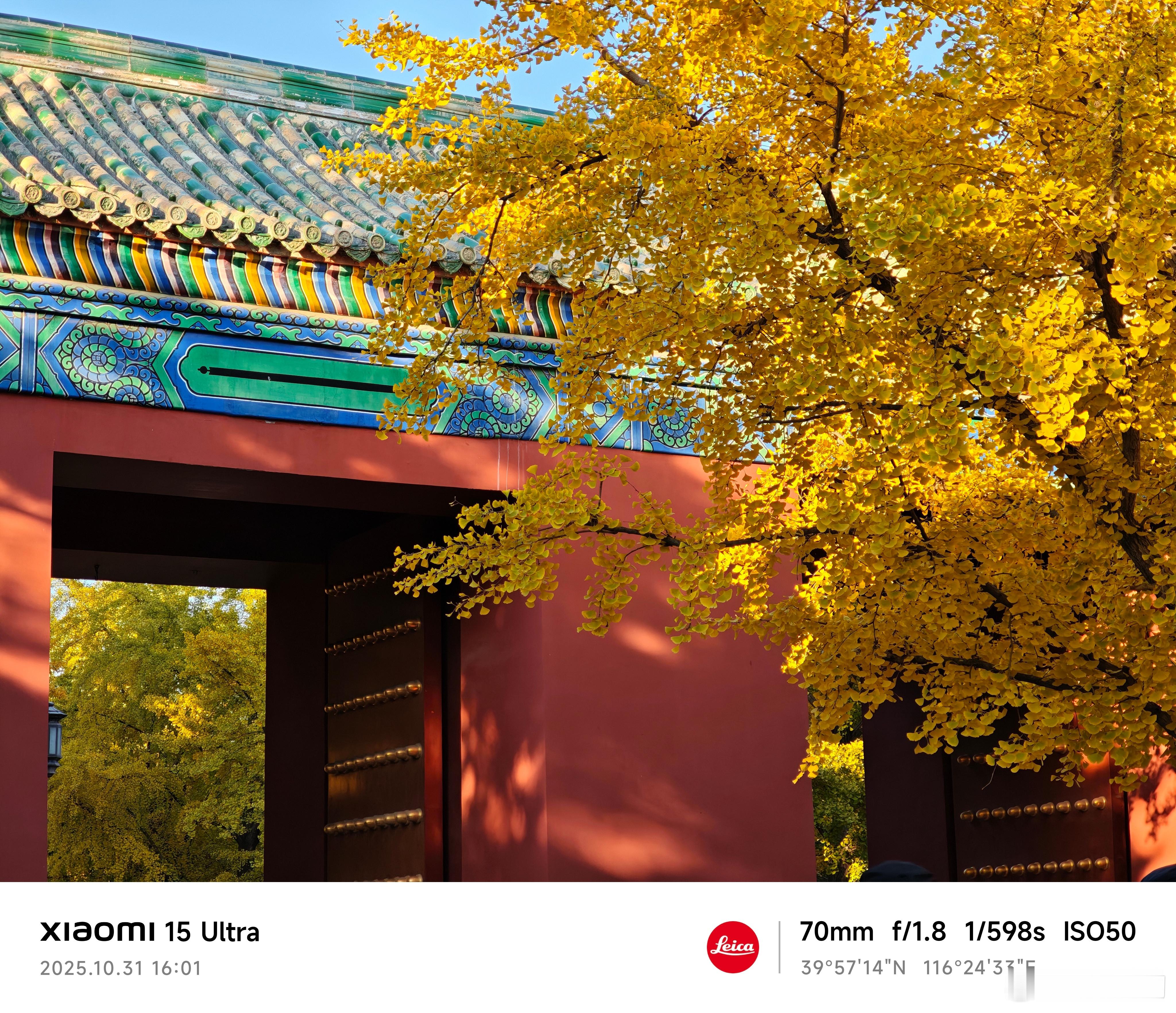 日常分享小米15Ultra银杏  ​​​