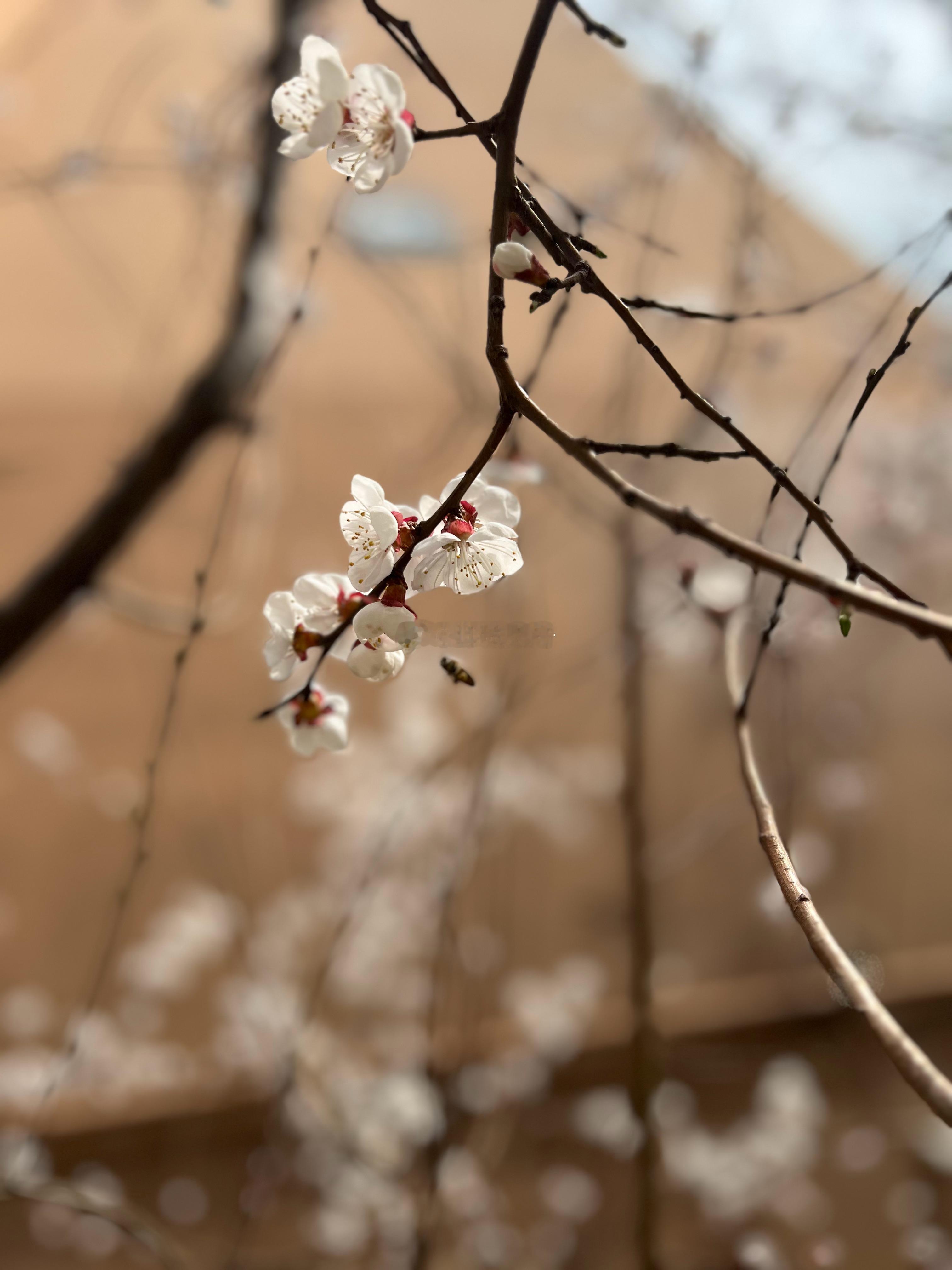 怎么也飞不出，花花的世界。  ​​​