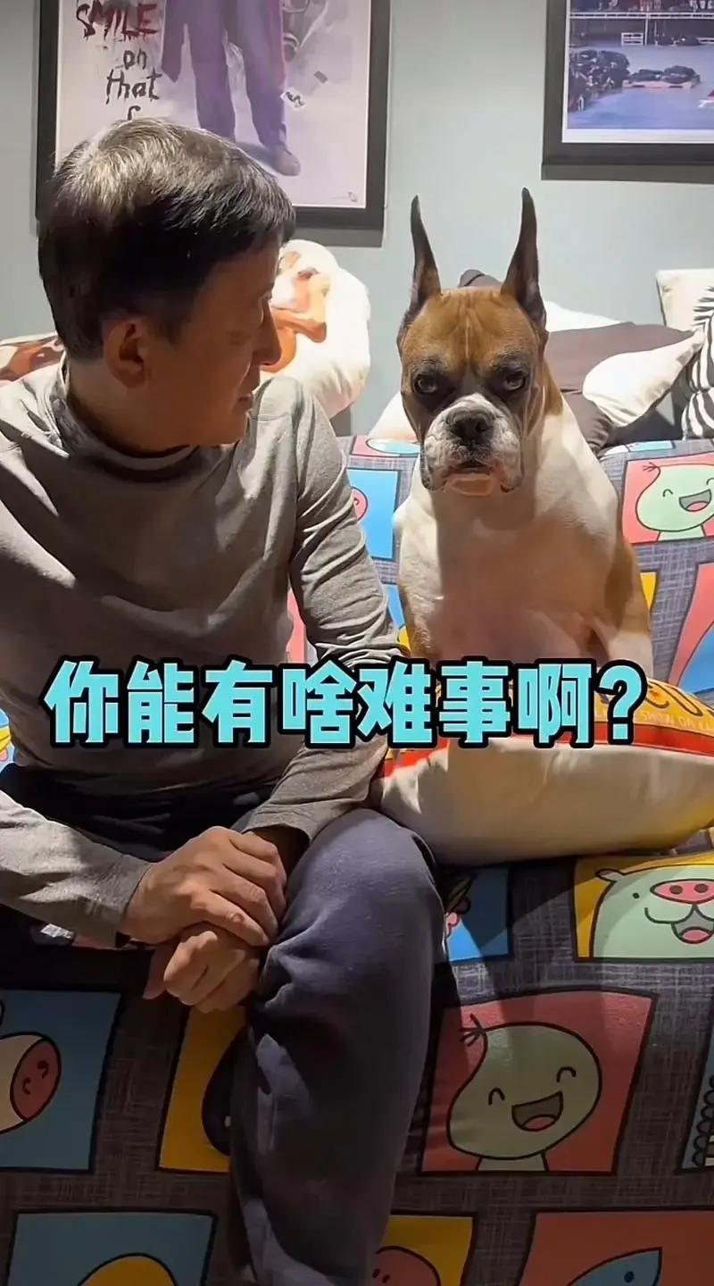 太不敢相信这是真的了，可爱的小卢怎么也没了？以后让我们再看谁呀？他的小媳妇儿还没