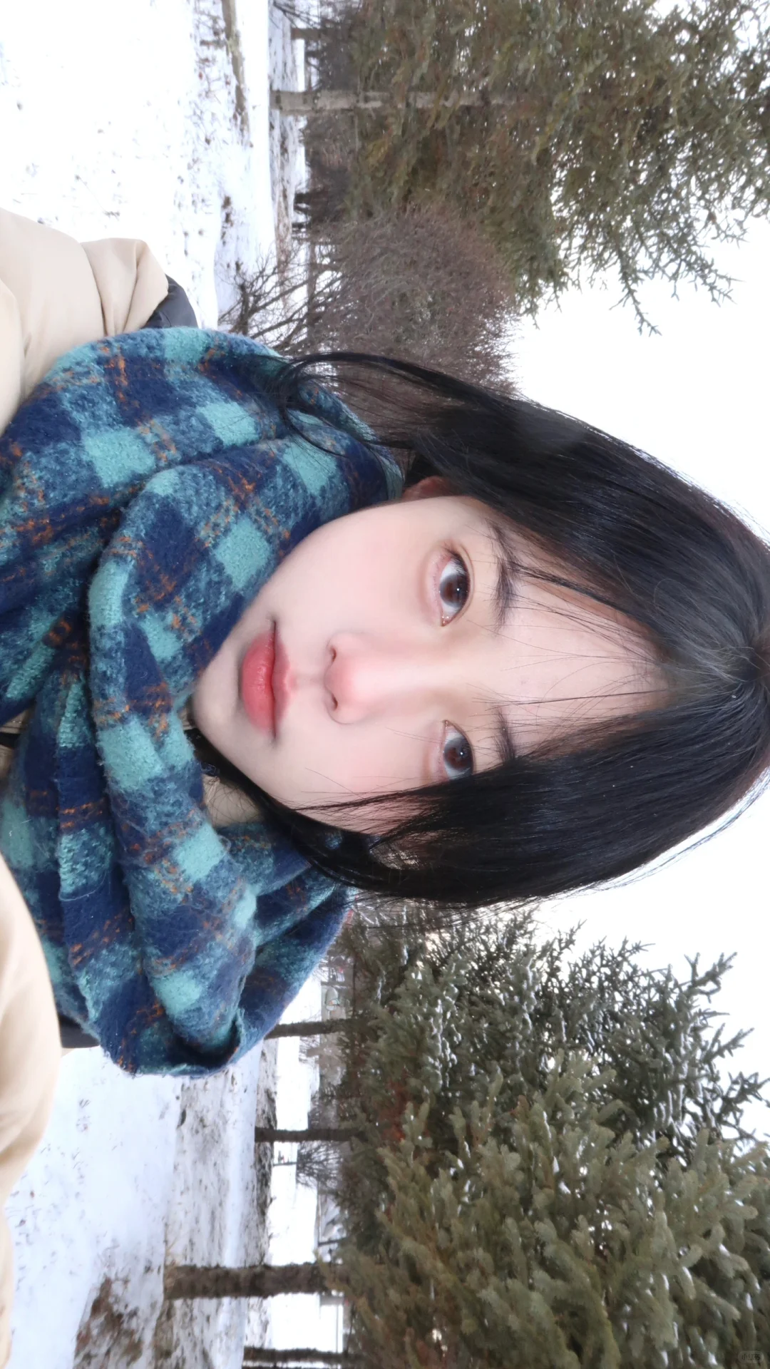 雪