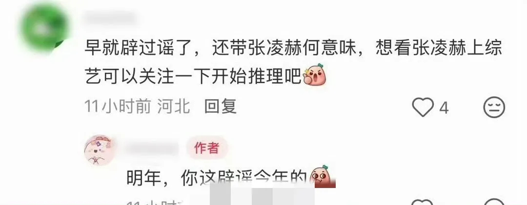 网传人气演员张凌赫或将加盟跑男第十五季，消息一出瞬间引爆网友热议。凭借出圈角色圈