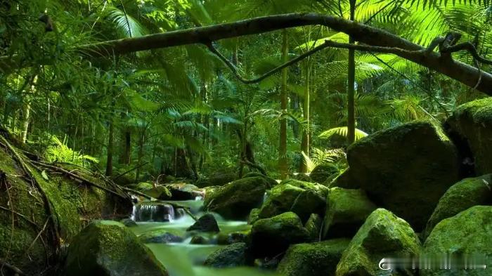 【财富晚茶】今日股市收评：深指跌0.68%：林业震荡回升游戏杀跌导语：作者系《网