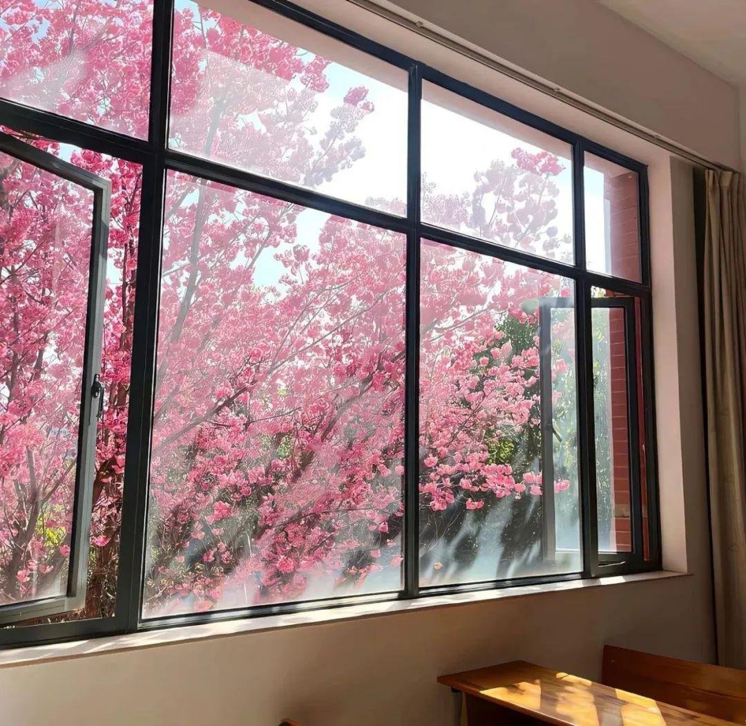 ‎每日一善阳光‬‬信用 昨天如影，记住你昨天的挫折和失败的教训;今天如画，美好的