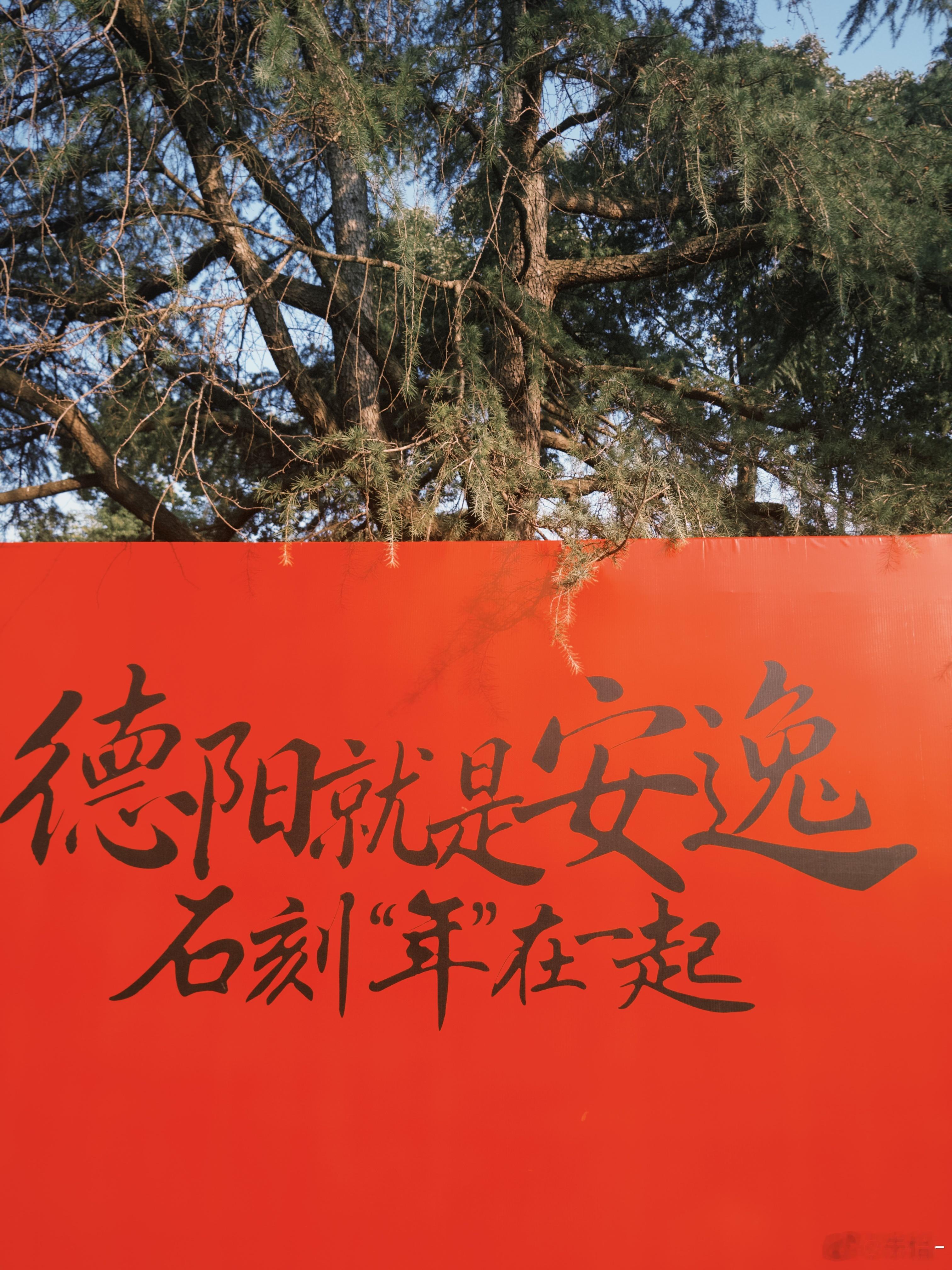 最近真过的有点不要脸了美滋滋滋滋～～～～过年我的日常plog