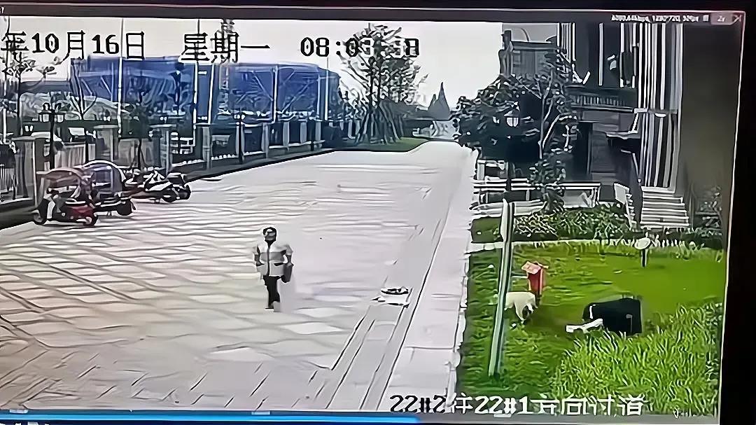 只有文明养犬，社会才会和谐。
本来狗咬人不是新闻，但这两天成都狗咬人事件吵得沸沸