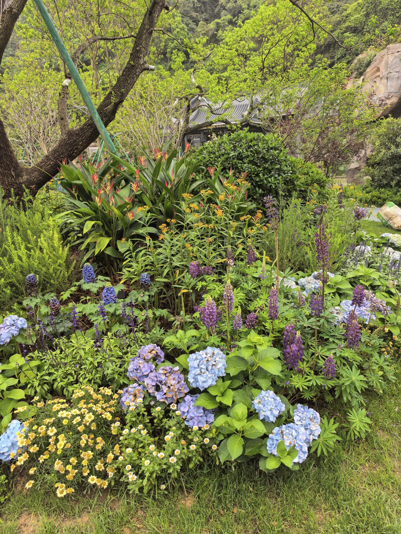 请条友们指教一下！[作揖]