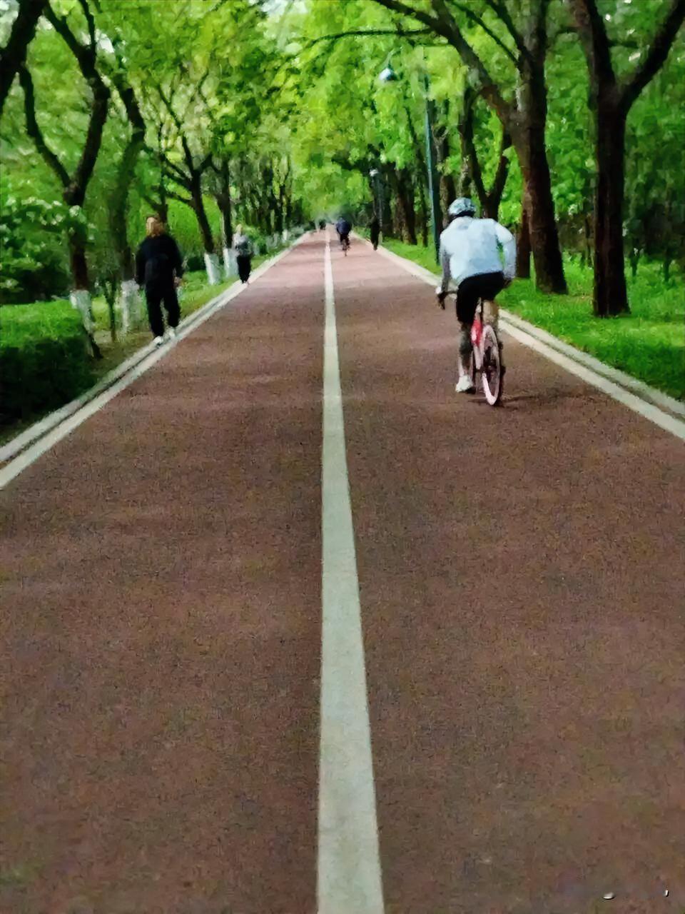 从今天开始，
继续开始五公里跑步。
我真的不是一个自律的人，
一旦忙了累了，
就