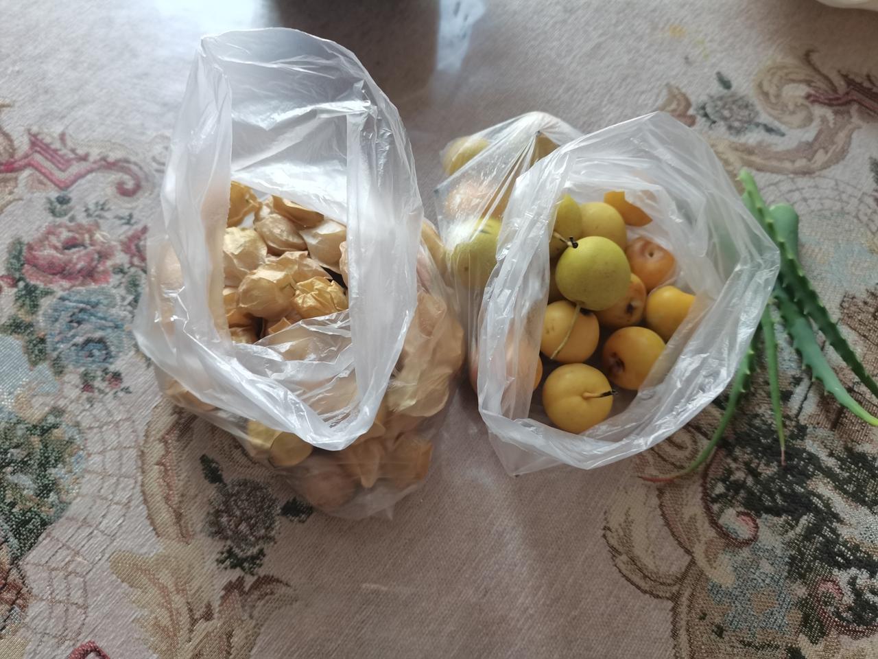 不知道今夕何夕，结果听说是七夕。

和我没有关系。

今早，就去老妈那里看她所说