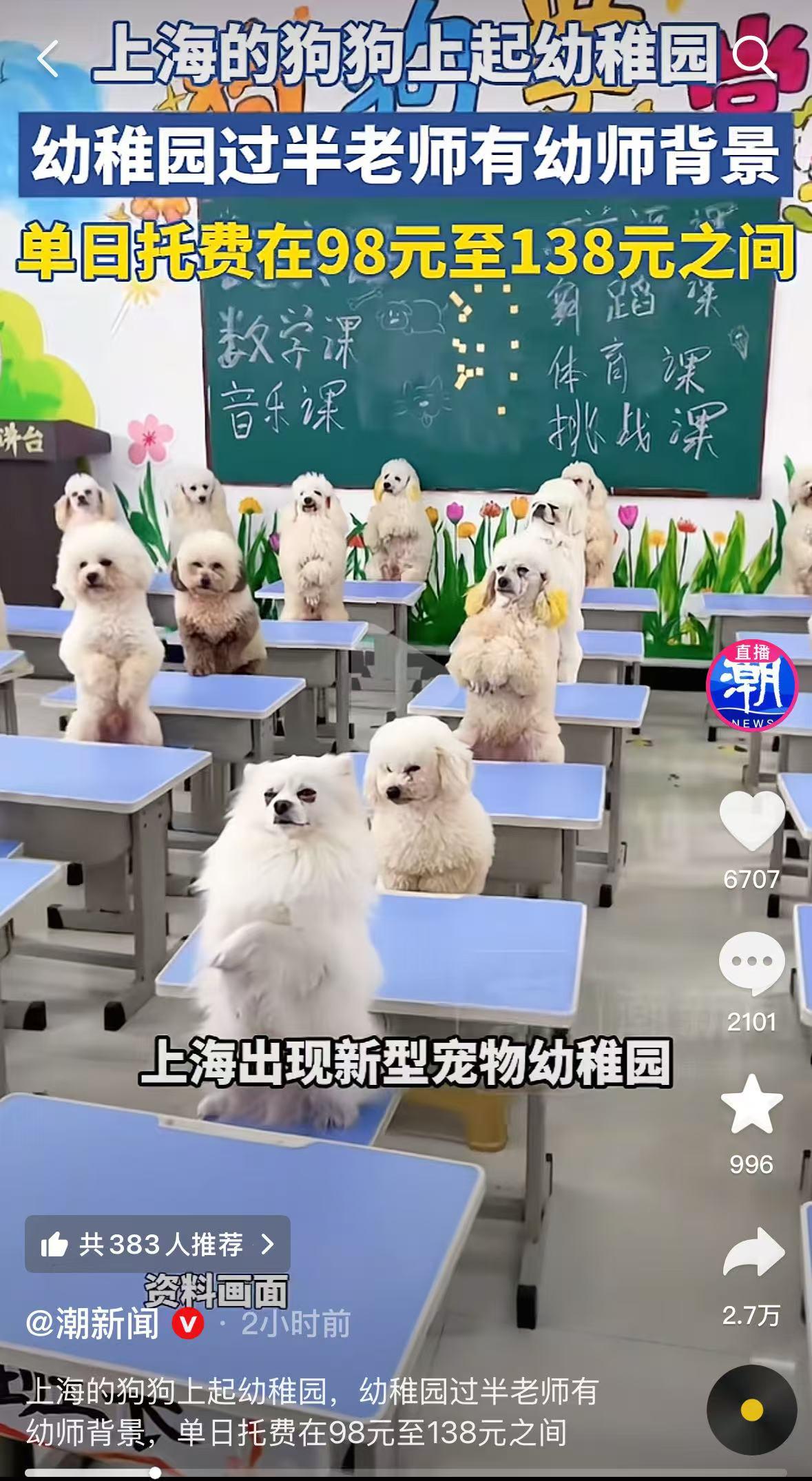 “活了几十年，过得还不如一条狗。”
上海，新型宠物幼稚园日托服务，瞬间引起围观。