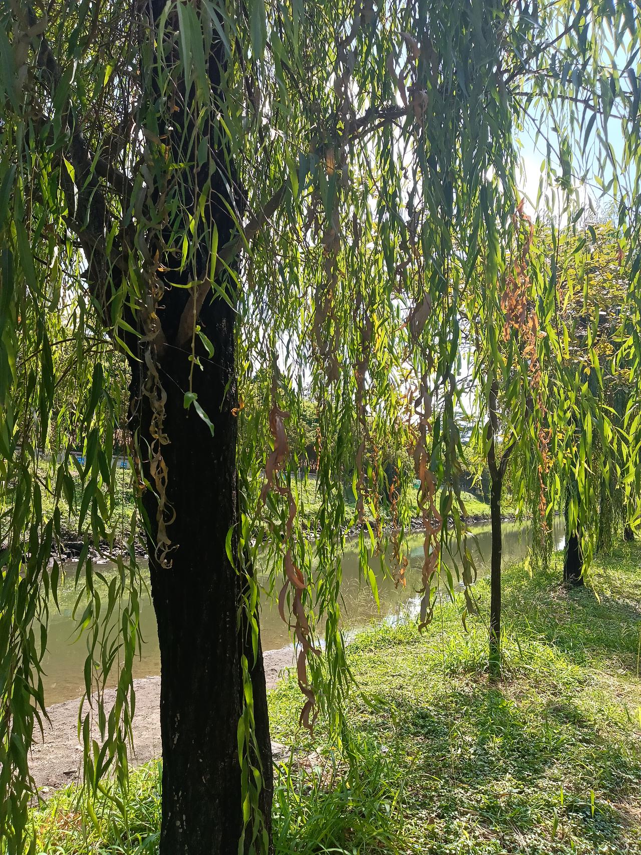 好的婚姻就是平平淡淡，友好相处。两个人一起散散步，也是一种快乐。

人生起起伏伏