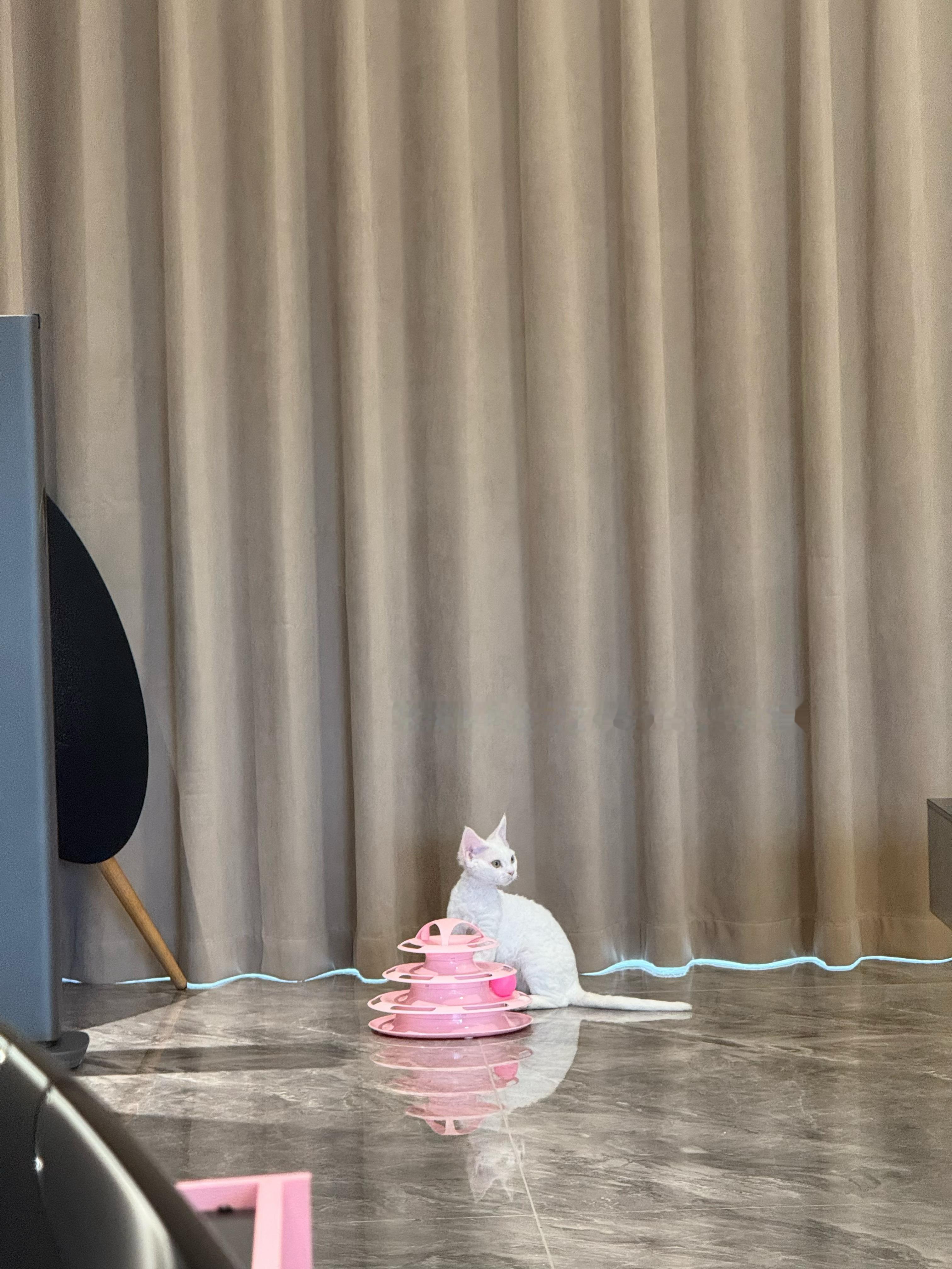 小小日记真的把我搞纠结了朋友们，原本打算去曼谷，但是今天广州这个天气出去呆了一个