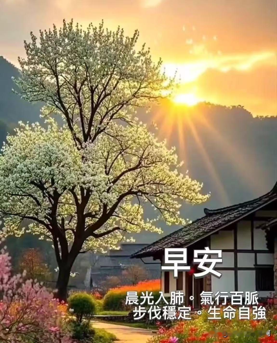 早晨的阳光照进花园，真美！