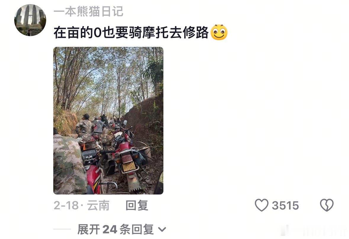 别问属性，问就是能抗能打 
