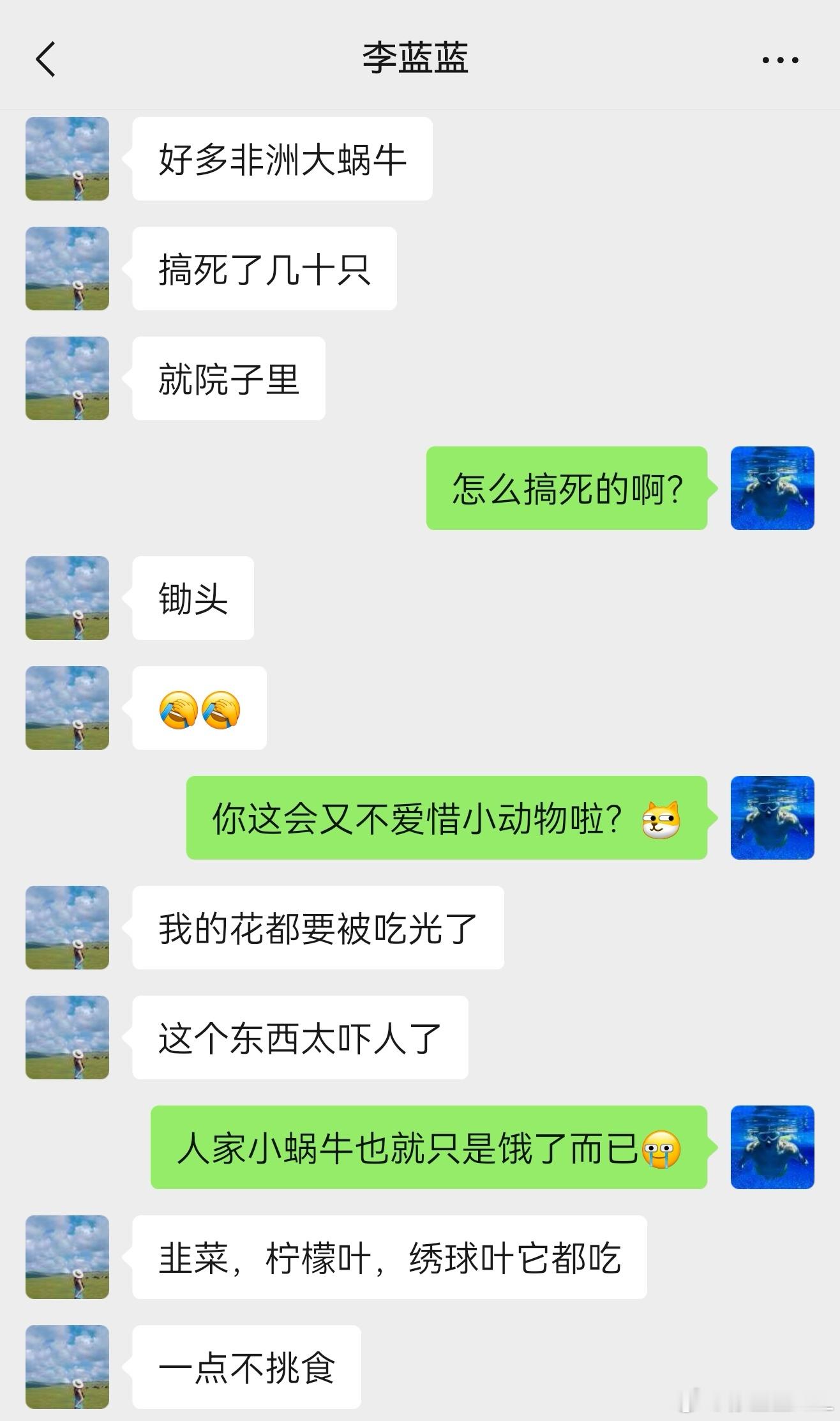 猫抓蝙蝠抓知了，猫咪真牛逼。蜗牛吃花花草草，蜗牛真可恶。