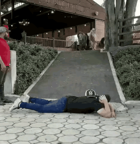 你相信万物生灵都是有灵性吗？
有人就做了一个实验，就是自己躺在地上，试一试马群会