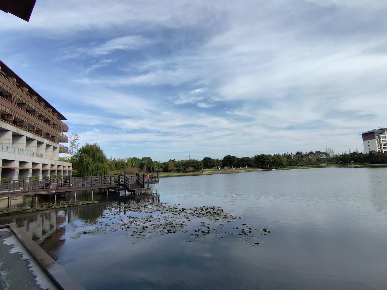 #随拍记录生活#在北京深秋寒冷的风中，循着温暖的足迹，去了一趟南方的城市，于是被