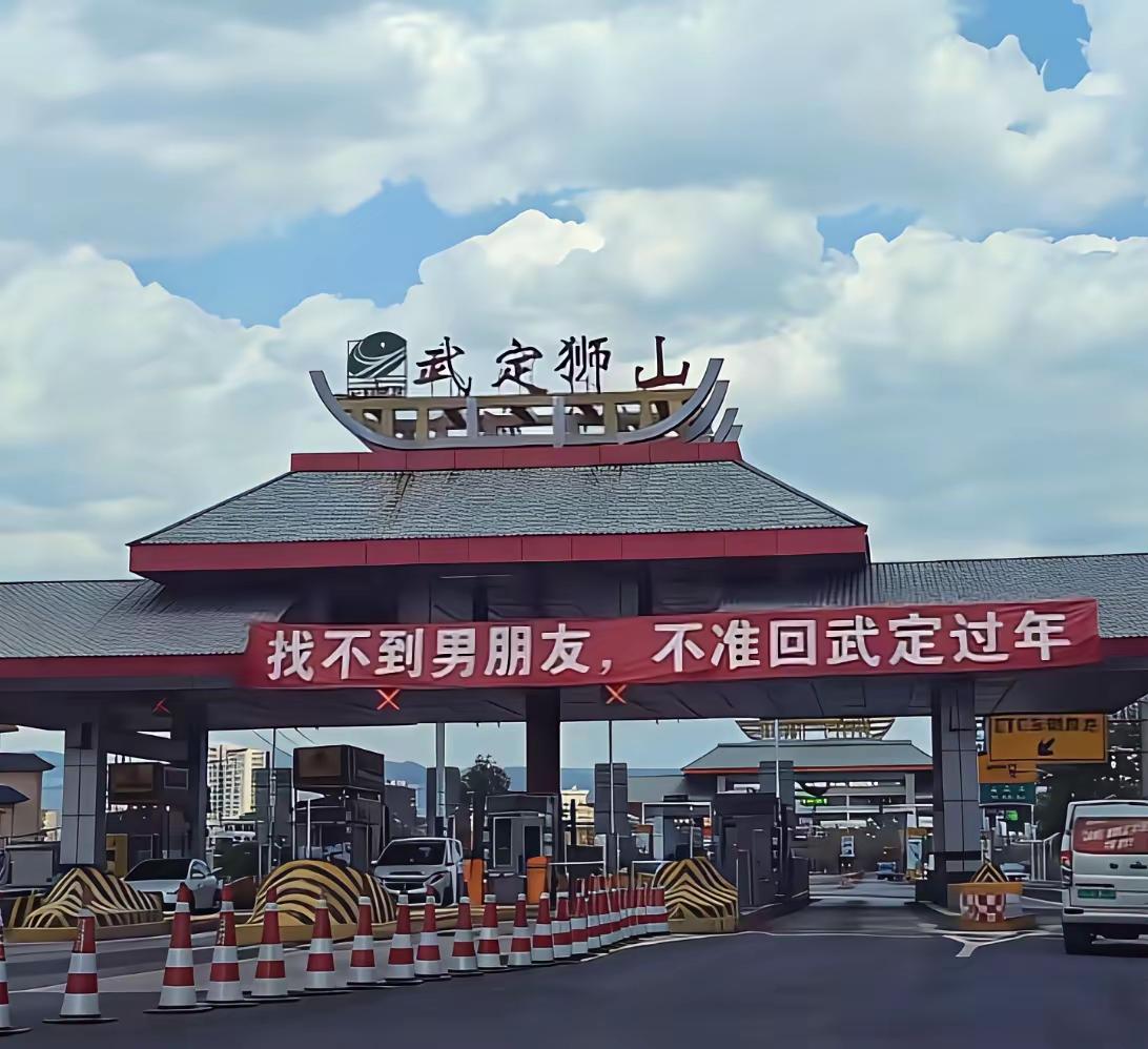 小姨妹看到这幅标语，在收费站旁边停下车，捂着脸大哭了一场。
   都过年了，咋这