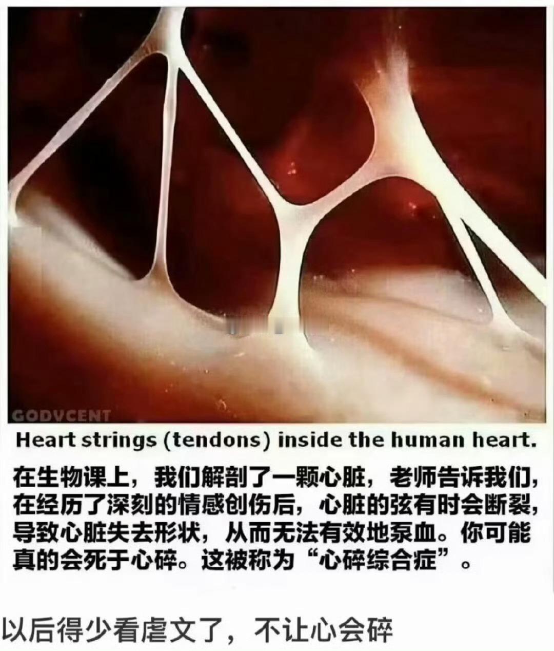心碎综合征可是虐心那一瞬间真的很爽啊 ​​​
