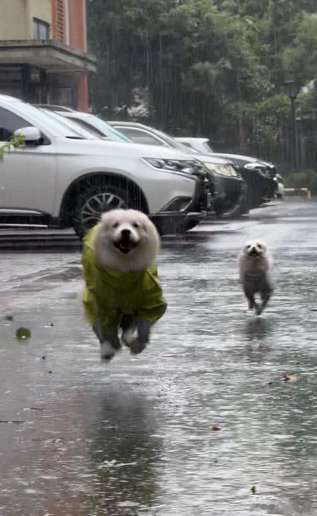 又来台风了 