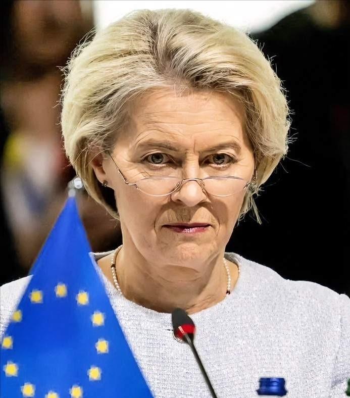 欧盟做出关键性决定！

1月20日，欧盟委员会主席冯德莱恩表示，欧洲需要一种紧迫