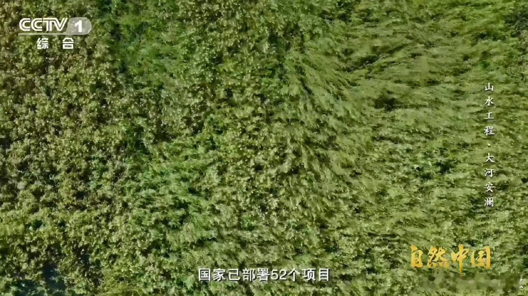 联合国3个词为中国方案点赞中国“山水工程”成全球标杆！2016年至今52项目覆盖