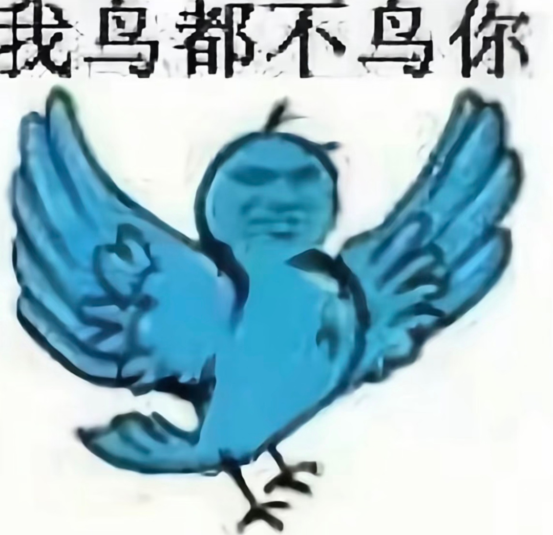 这么focus金毛妈可以来粉金毛妈哦 