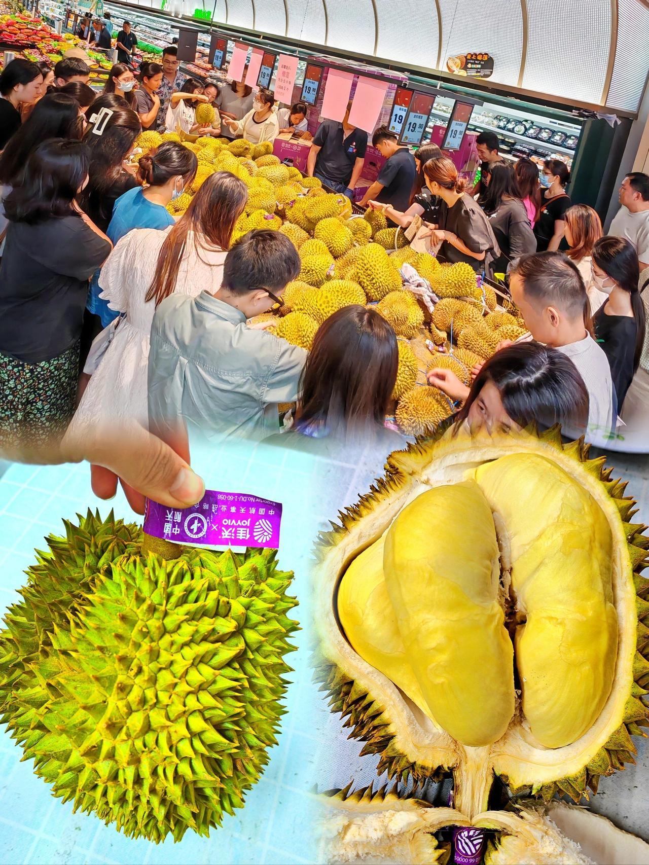 1天之内超6300吨榴莲鲜果运抵广州！

短短 24 小时，三艘冷链快船满载榴莲