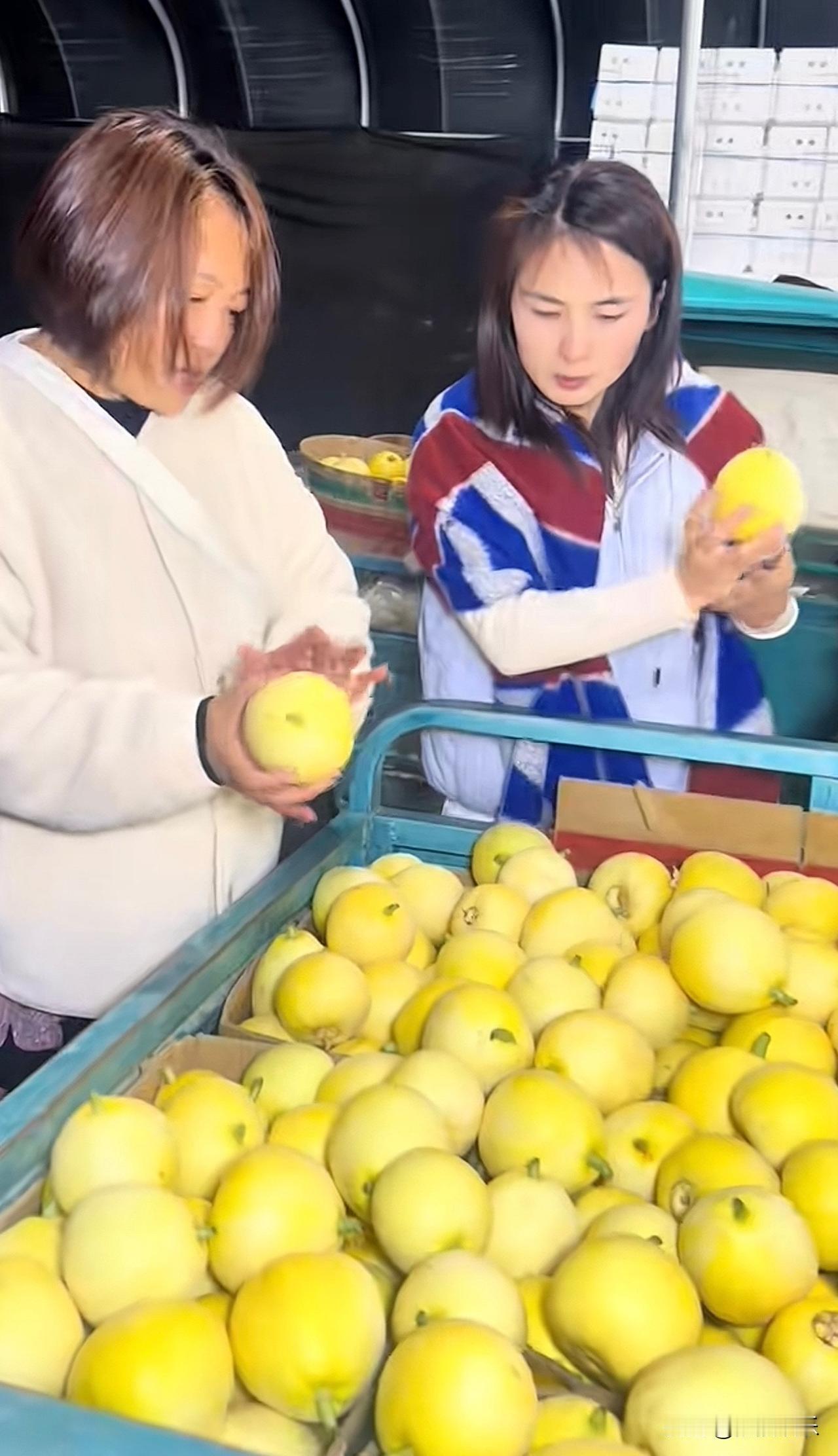 瑾汐
现在很放松
她跟自己的姑姑在一起，感觉特别松弛，没有那种拘束感

人家瑾汐