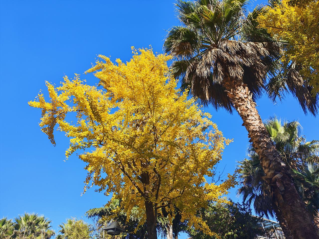 【写小说就是讲故事】写小说就是讲故事，没有那么多深奥的东西。
     为了把故