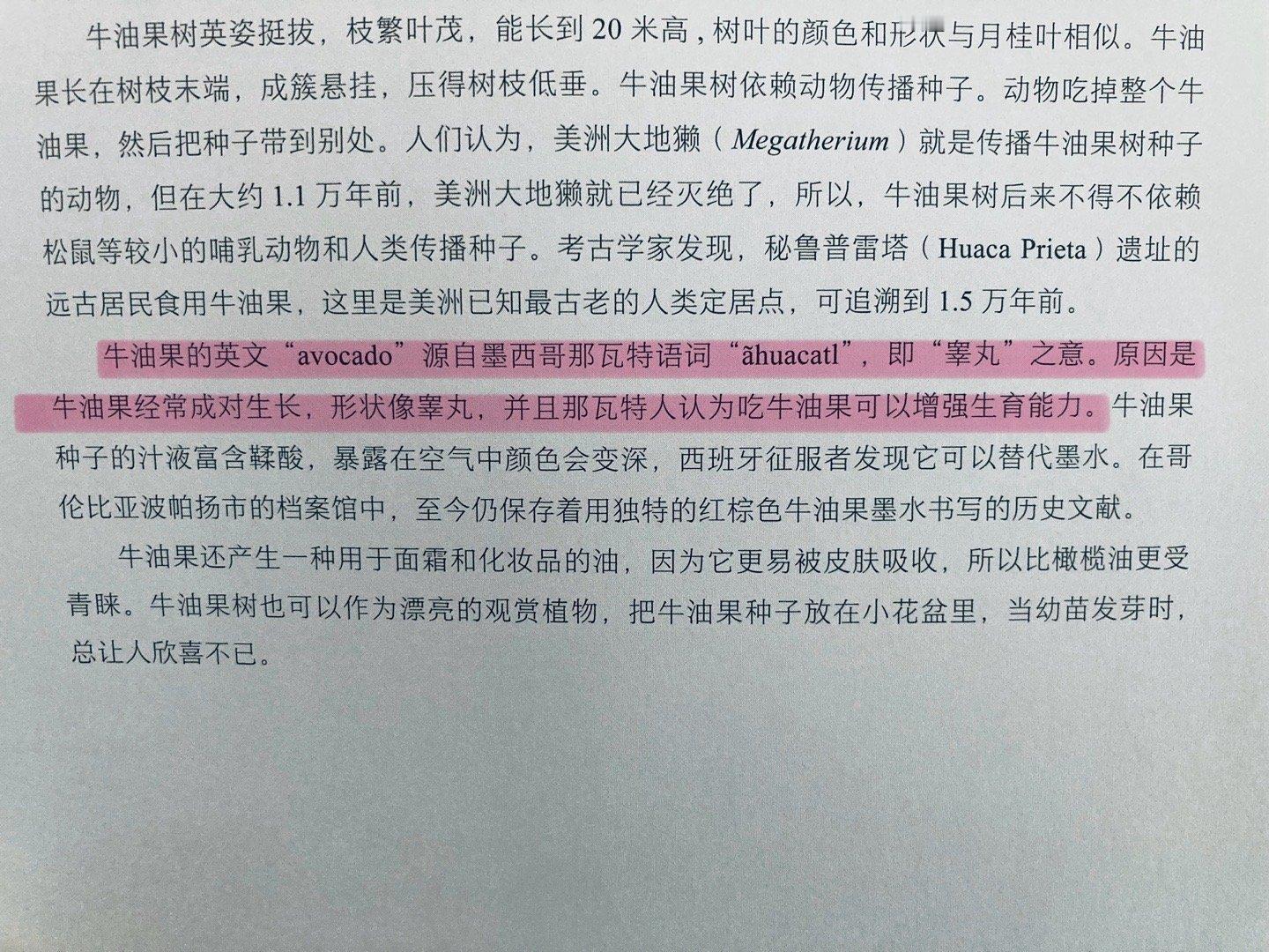 牛油果更贴切的名字应该是牛卵果[二哈] ​​​
