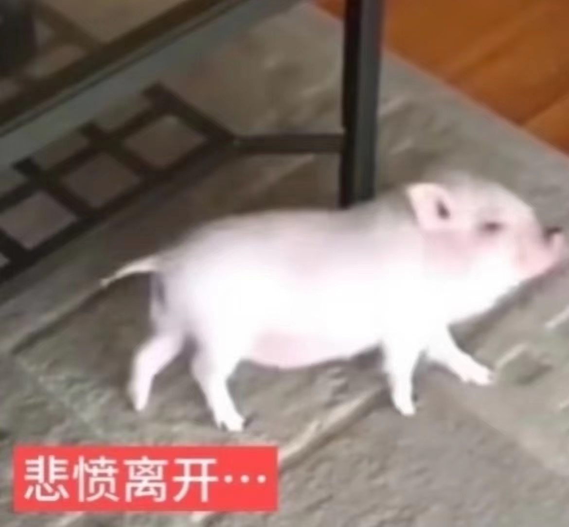 机关算尽发现自己算数不行 