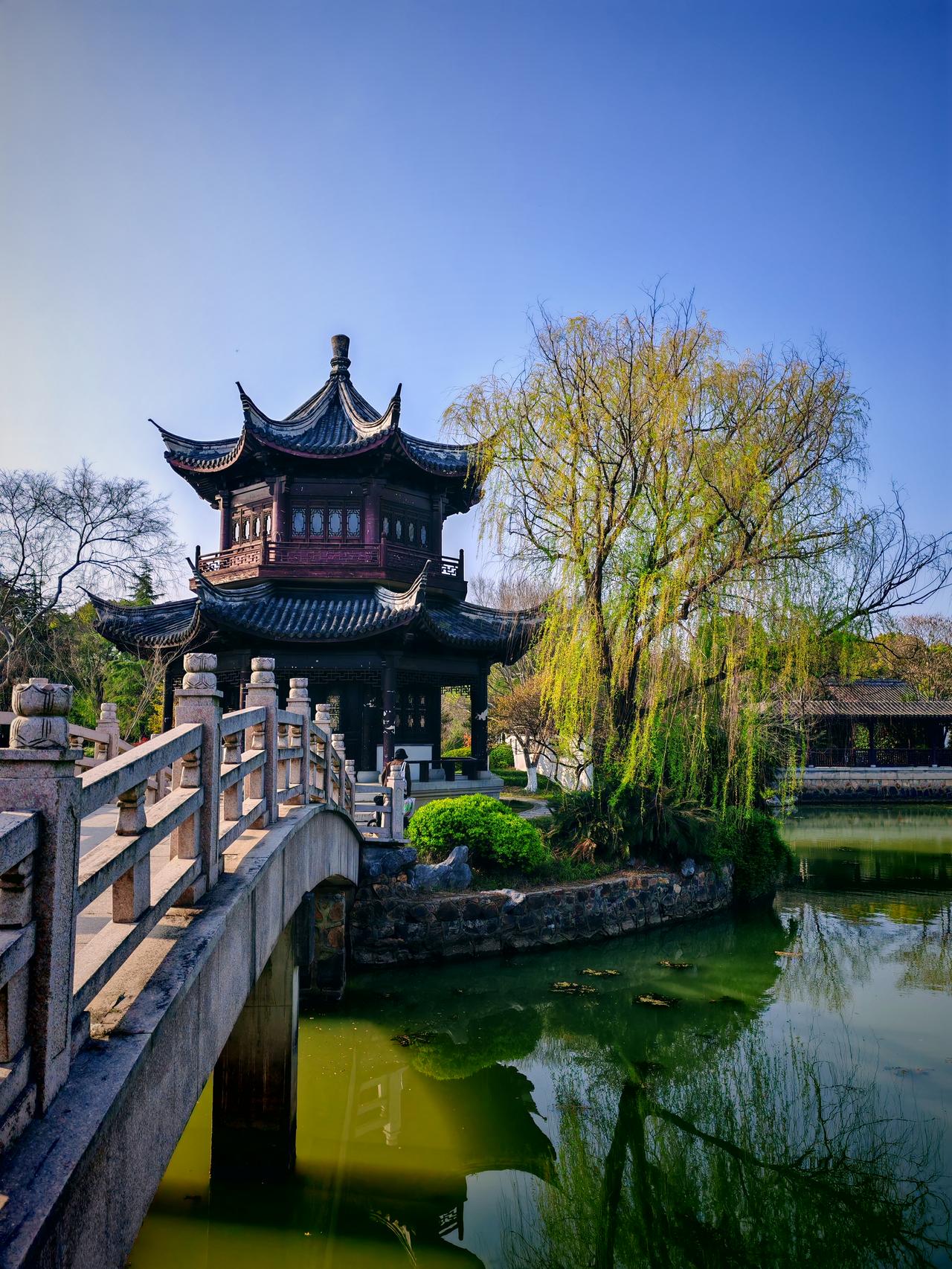 春日生活打卡季