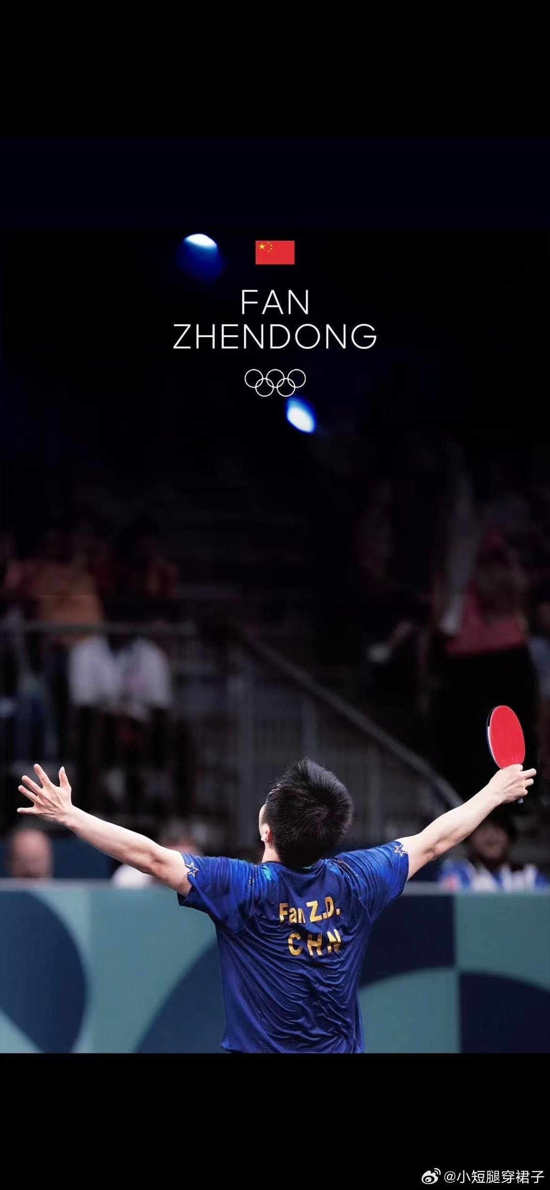 王励勤说樊振东回归问题还在联系 球迷要的不是空洞回应，是透明进度与明确结果，不要