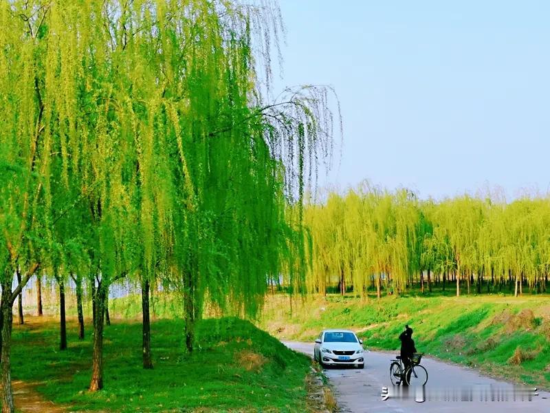 看到“夏风轻拂绿意浓”这句下联，我脑海里瞬间浮现出“春雨细滋红花艳”作为上联。