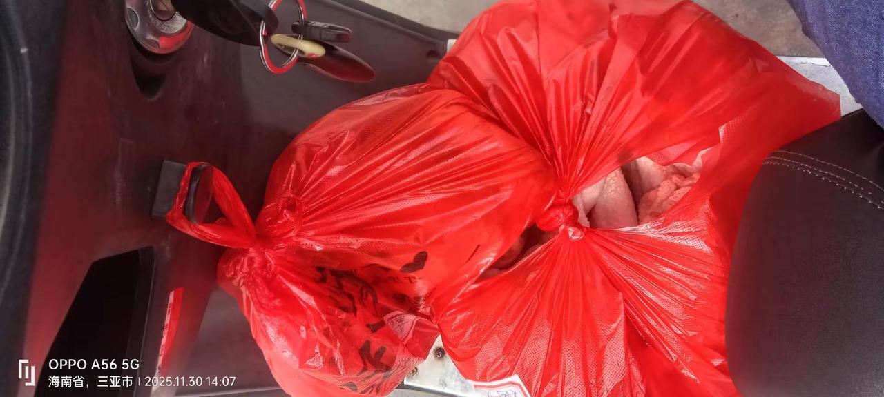 吃喝玩乐分享计划