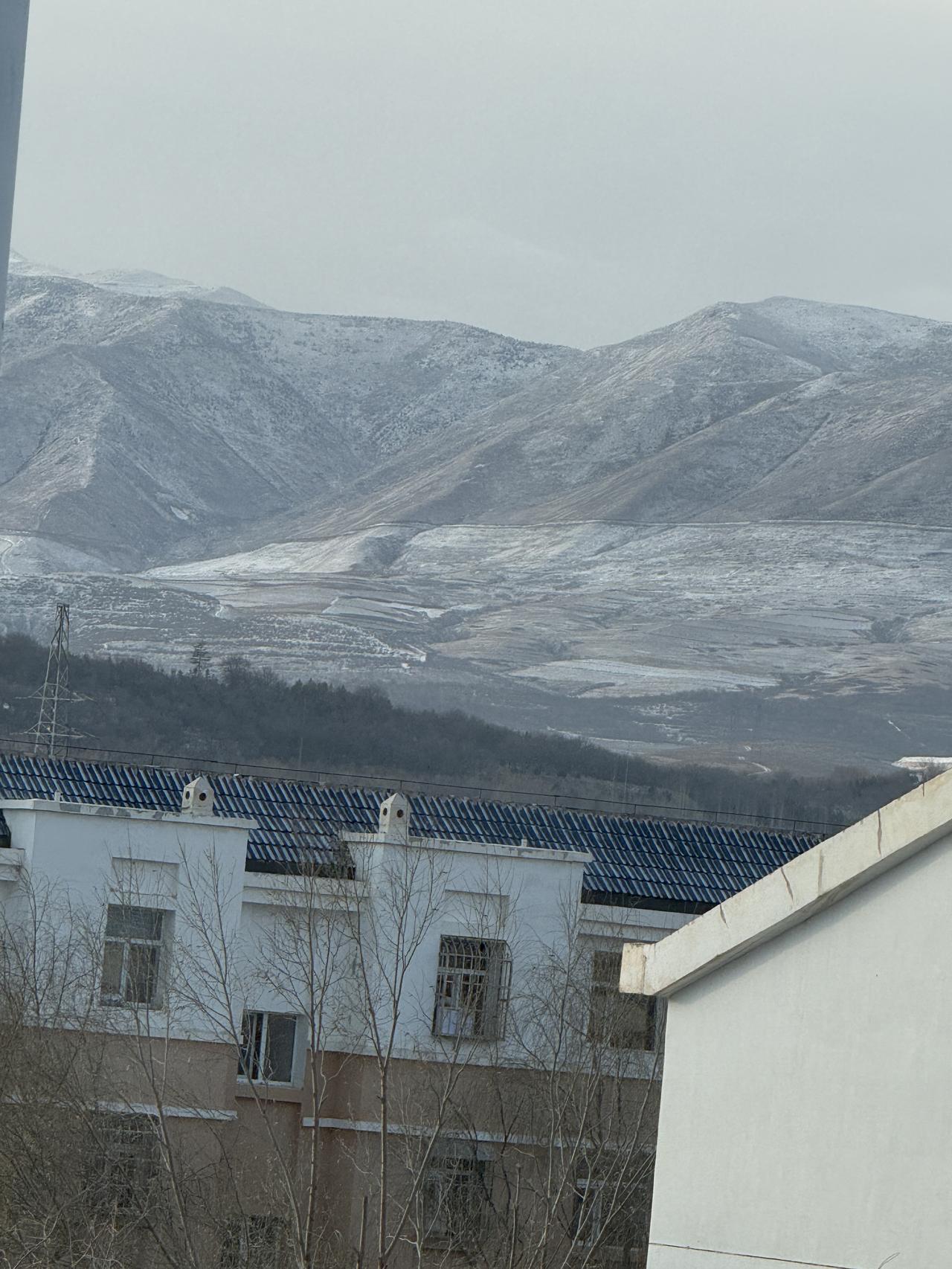 今冬第三场雪
天气预报昨天有小雪，等到睡觉还没有见雪的影儿。预报又撒谎了，想起了