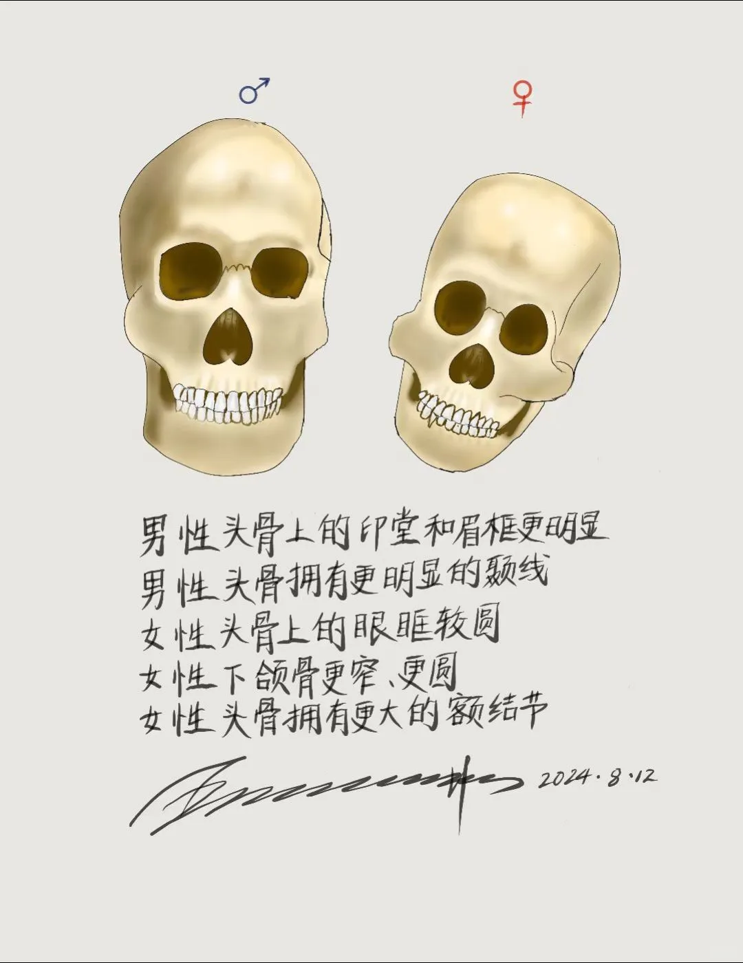 来自头骨的嘲笑，重口慎入，不取悦任何人！
