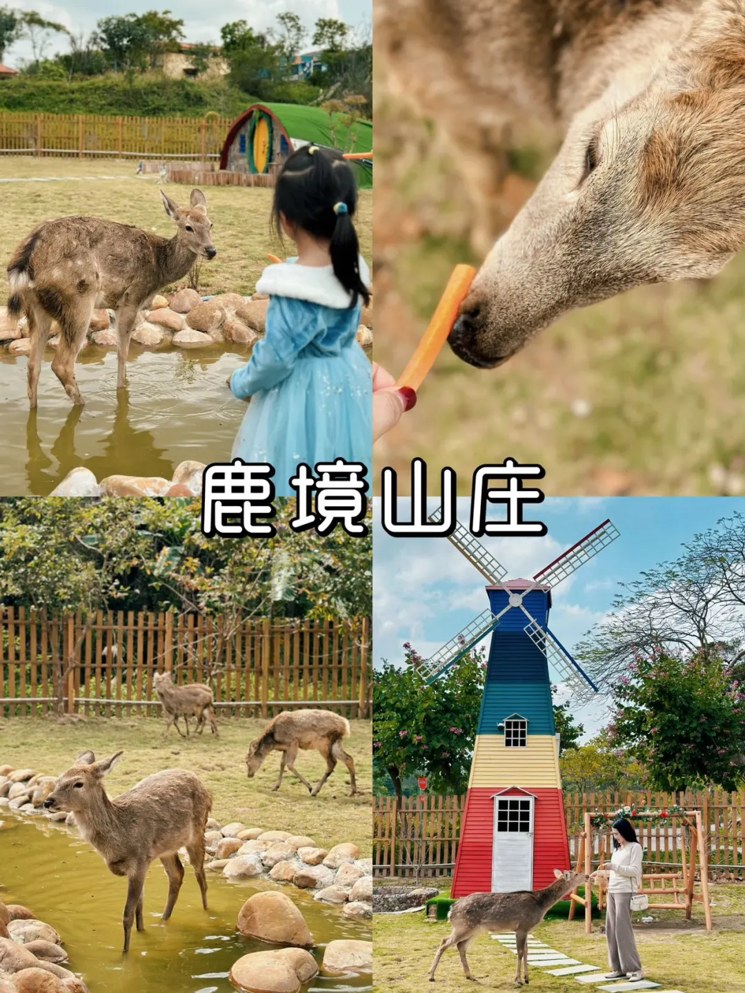 广东周边游|还没回来就二刷的6个地方