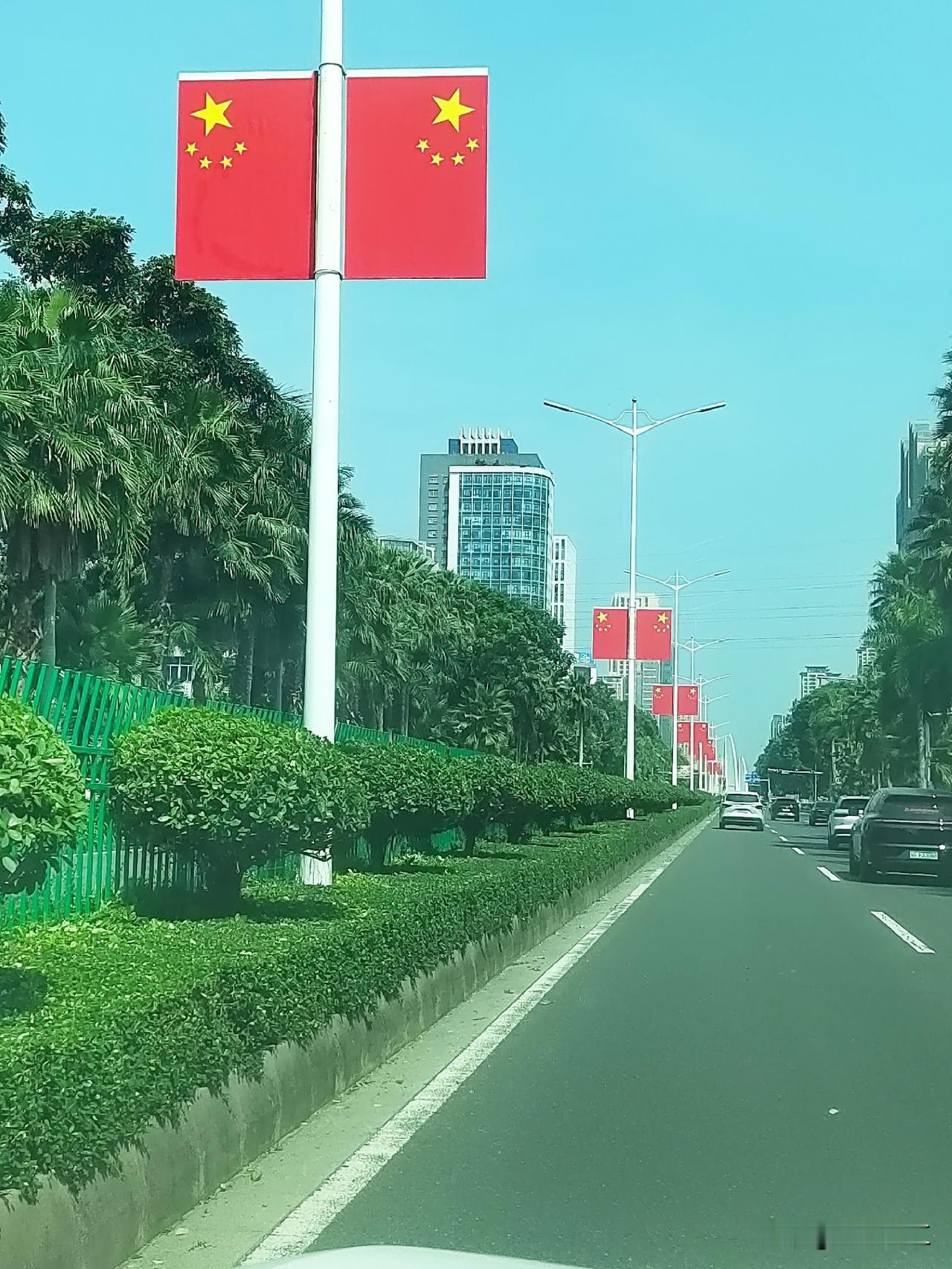 湛江市人民大道是湛江市区的核心主干道，每逢国庆节临近，大道中央绿化带的灯杆上挂起