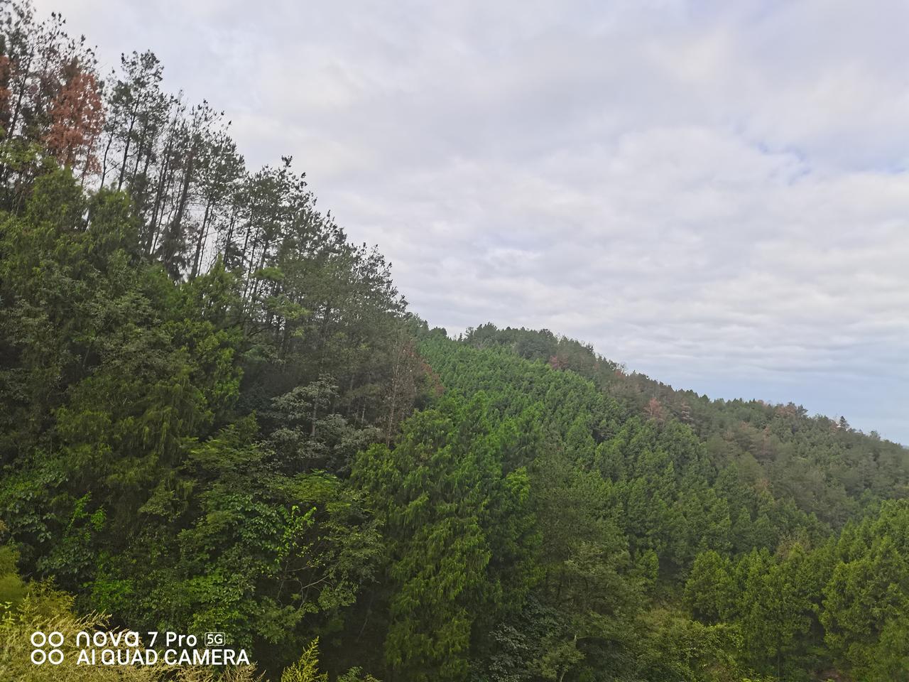 山里的空气真好！