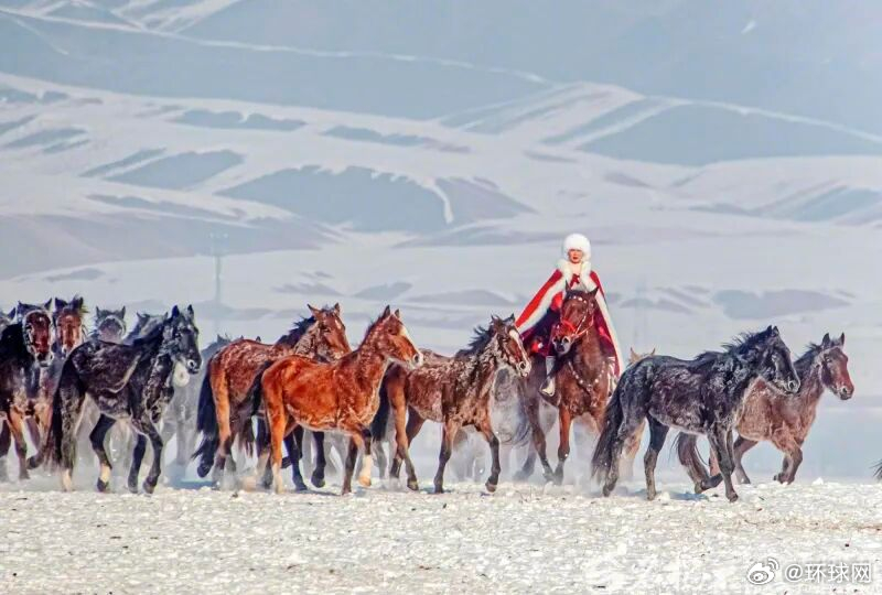 【#贺娇龙受伤抢救细节披露#：2次开颅手术后接受重症医学救治，但她伤得太重了……